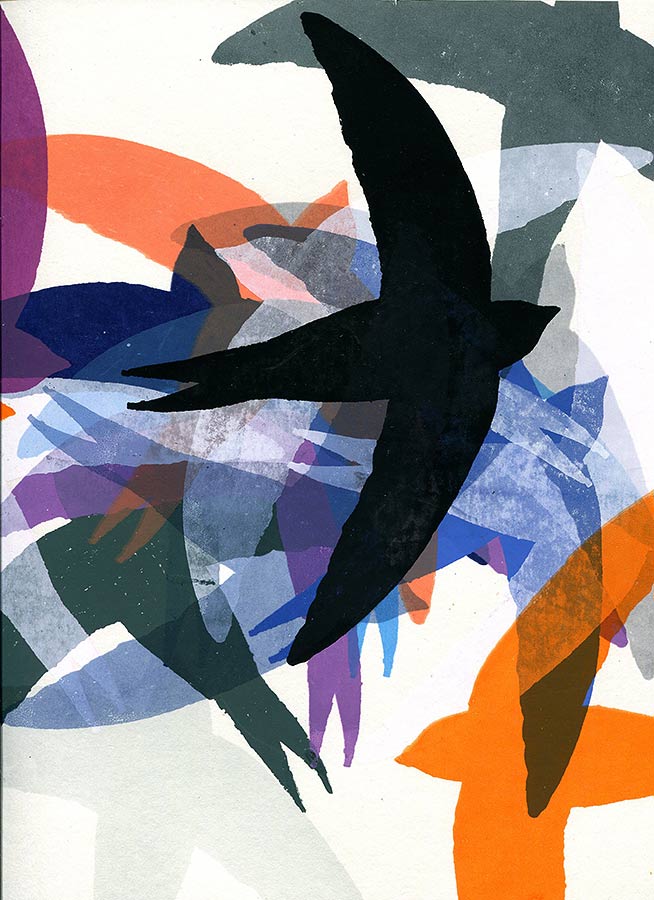 Flieg-Schwalbe-flieg